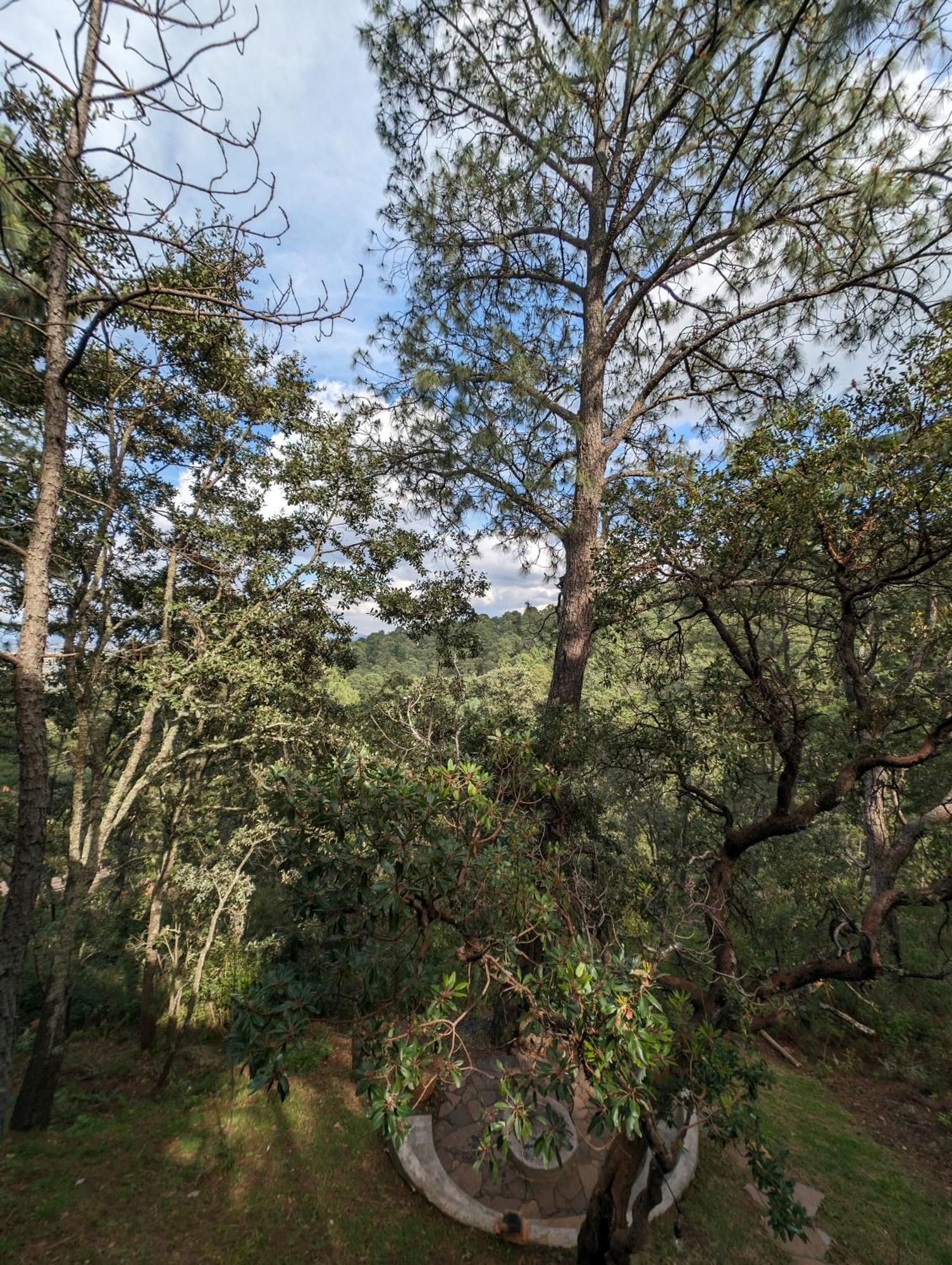 Cabana La Finca Мазамитла Экстерьер фото